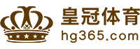 Logo nG体育